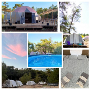 4 Camp